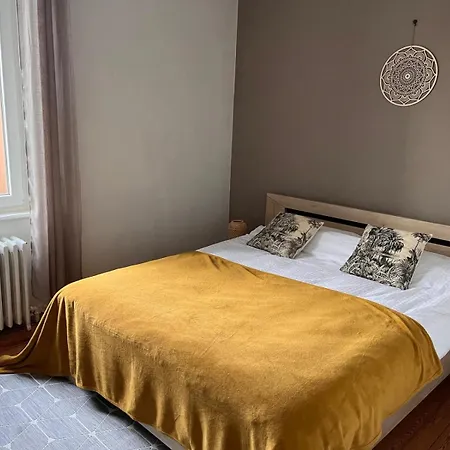 Jardin De Victor Appartements Premium Renoves Spacieux Avec Jardin Clos Belfort Exterior photo